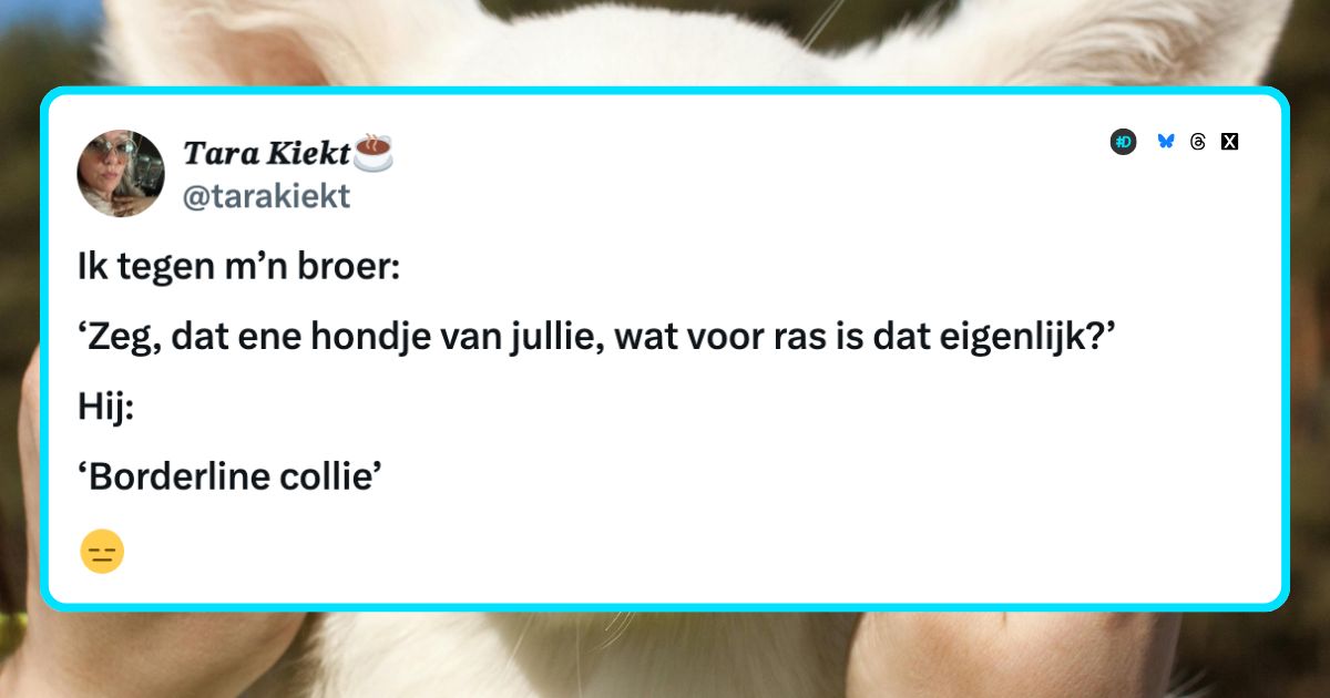 Honden