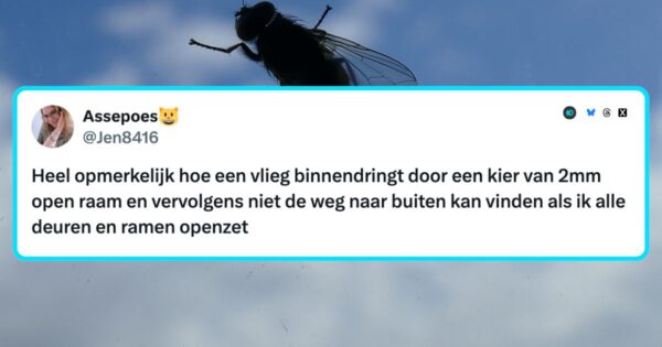 Vliegen