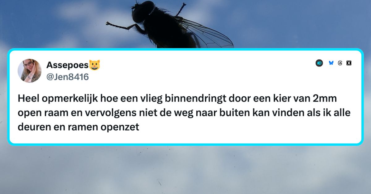 Vliegen