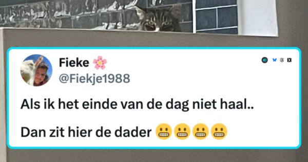 Katten