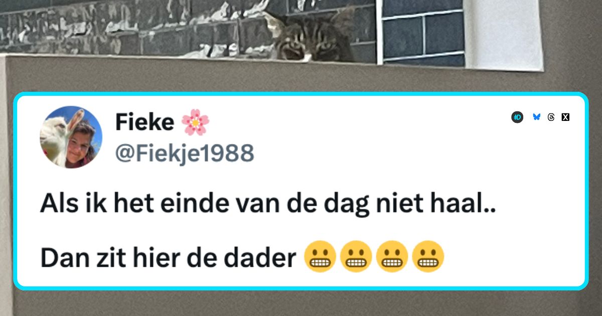 Katten