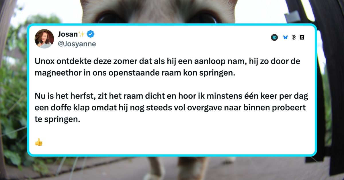 Katten