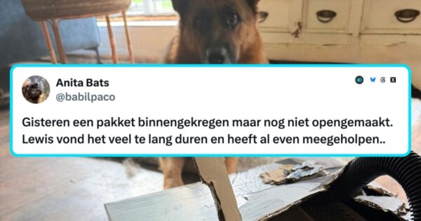 Dierendag
