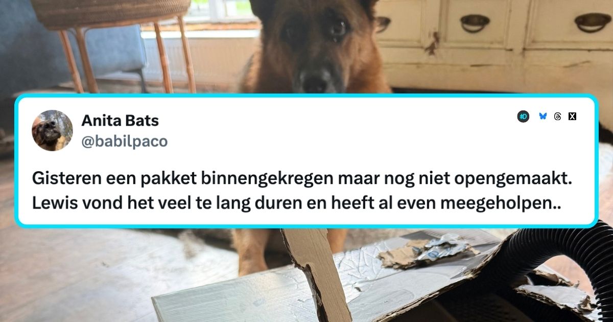 Dierendag