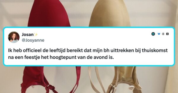 Het volwassen leven